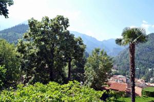 1 VERNET LES BAINS - PO - LE VIILAGE (48)